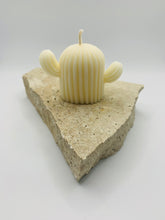 Load image into Gallery viewer, Cactus Cutie